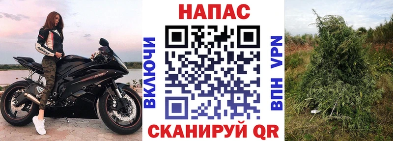 Конопля гибрид  hydra как войти  Таруса 
